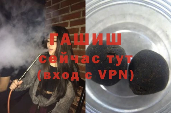 гашик Алексеевка