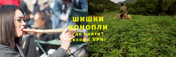 прущие грибы Алзамай