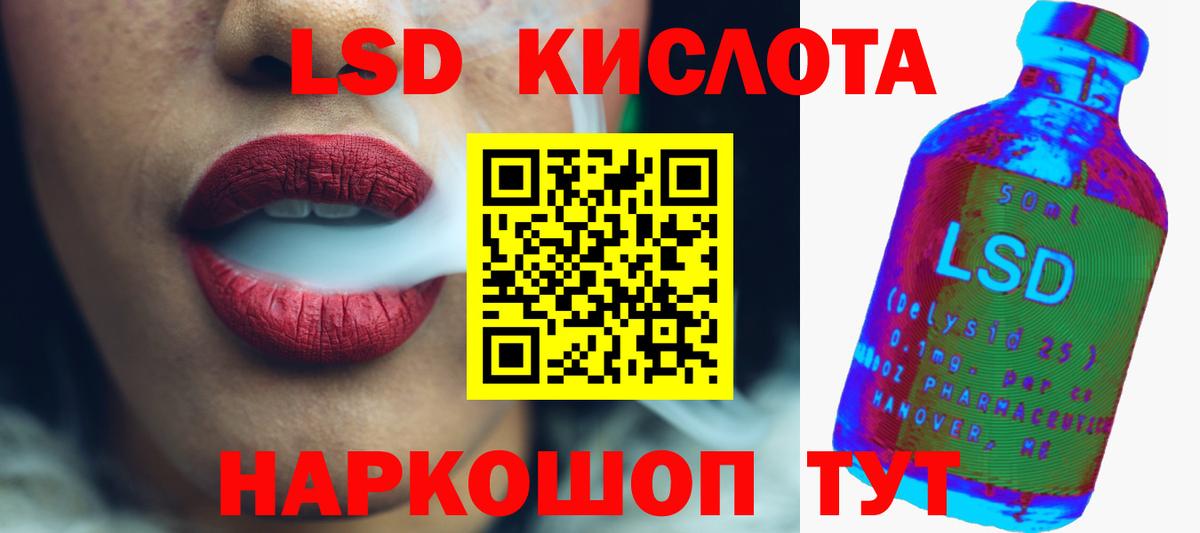 Псилоцибиновые грибы Курчалой