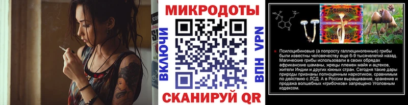Галлюциногенные грибы Psilocybe  цены наркотик  Курчалой 