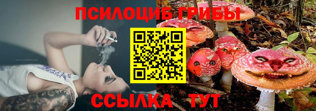 Псилоцибиновые грибы GOLDEN TEACHER  Вход с VPN  Галлюциногенные грибы Psilocybine cubensis  Курчалой 